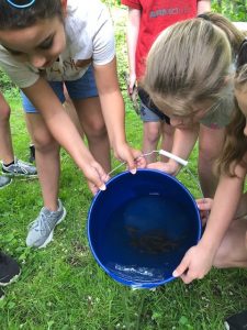 Suncrest students release fish they raised into Decker's Creek